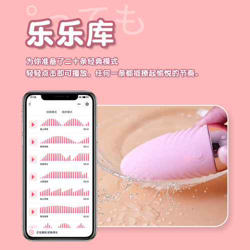 Remote Control Vibrator Female Adult Toy Erotic Novelty Wholesale Private