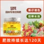 家用温和种植长效颗粒肥