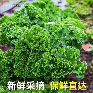 ���r���¸��{�~�pʳե֭��������ɳ��ʳ�����r�۹��߲�����ȫ��