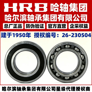 6200 6201 6202 6203 6204 6205 6206 6207 6208 ZZ 2RZ HRB�S��