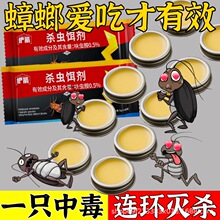 �o�����ș���ÏN���������șС�������N����D��һ�����l���l