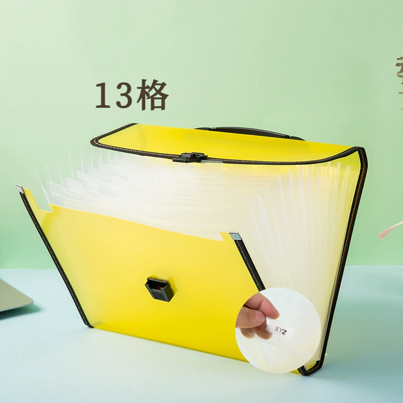 Organ, multilayer capacious folder, storage system for documents, organizer bag