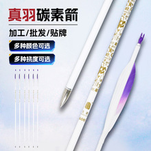 6.2真羽箭支碳素箭射箭不锈钢箭头美猎千三千六直度螺纹可换箭头