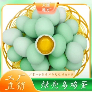绿壳土鸡蛋林下散养鲜鸡蛋代发包邮农家草鸡蛋柴鸡蛋乡村鲜蛋直供