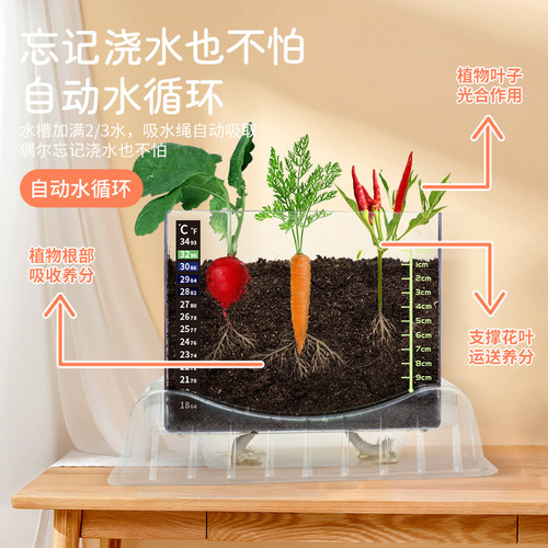 Learn from Yuma plant root observation box to plant seeds and grow scientific experiments handmade toys for children primary and secondary school students