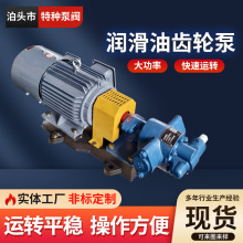 润滑油齿轮泵工业机械润滑泵自吸式齿轮油泵流量稳定厂家直供