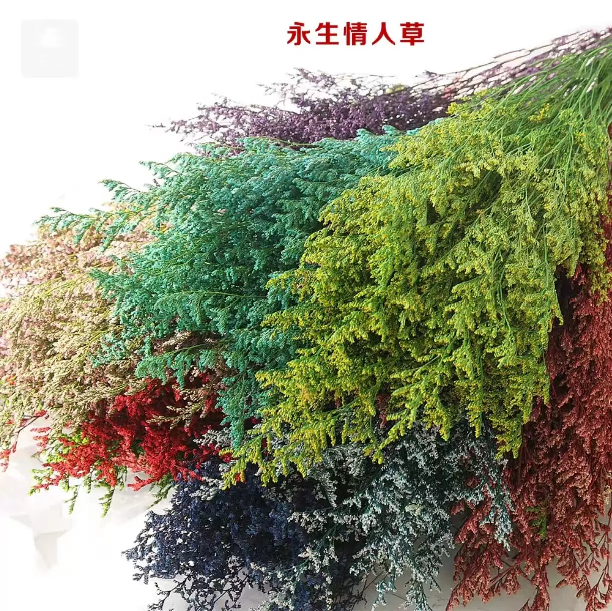 永生花花束批发永生情人草外贸跨境搭配组合diy材料装饰婚庆干花