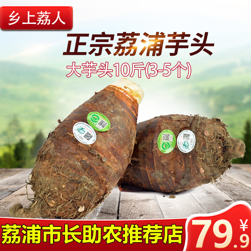 [市長推薦] 正宗廣西荔浦芋頭免郵新鮮香芋大芋頭精品10斤(3-5個)