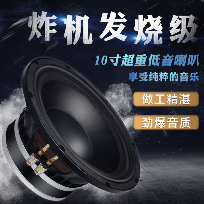 Jinggeyuan 10inch Double Magnetic Speaker Internal and External Voice Coil 800W Professional Grade High Power Subwoofer Speaker
