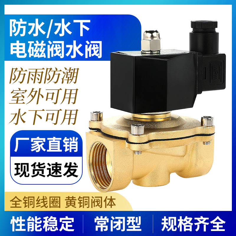 Waterproof outdoor solenoid valve water valve AC220V normally closed water pipe control valve switch 4 points 6 no heat 24V underwater