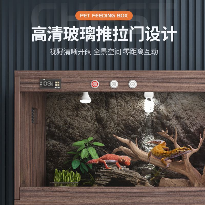 麓f鬃蜥蜴飼養箱小獅子守宮烏龜寄居蟹爬寵箱子寵物觀賞箱爬蟲保