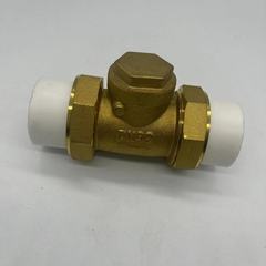 PE dual active connection horizontal/vertical check valve check valve flow control valve unidirectional valve dual hot melt check valve 4/6 split 20 