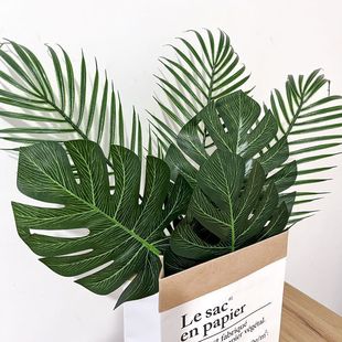 nLinsGֲ~~͏db~ֲzӰ