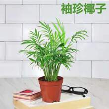ɢβ������Ҭ�������ļ�������B���҃ȾGֲ�k����������С�辰