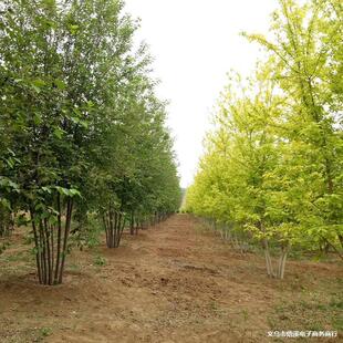 �������~����3--15�������~����С�煲�����~����r�����