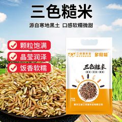 三色の玄米の粗食の現物の2024五穀の雑穀のご飯の雑穀のご飯のフィットネスの満腹の5斤は1斤を詰めます。