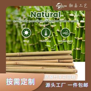 Natural Bamboo Stake Bamboo Stick Garden Support Stake Bamboo Rod Tomato Vegetable Beans Potted Bamboo Pole Shelf for Climbing Plants