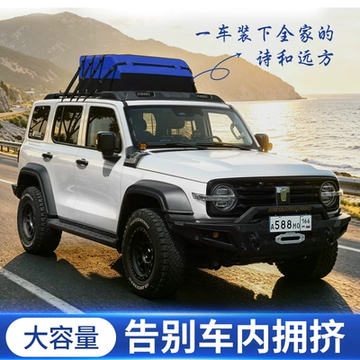 Roof box bag, rainproof and dustproof luggage