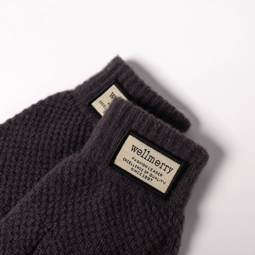 Winter Thicken Korean Style Cold-Proof Cute Touch Screen Warm Wool Knitted Gloves for Men and Women Finger Warm Gloves