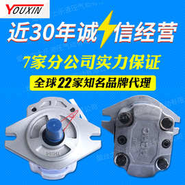 合肥长源CBF-F410-ALP液压齿轮泵高压油泵现货供应一件也是批发价
