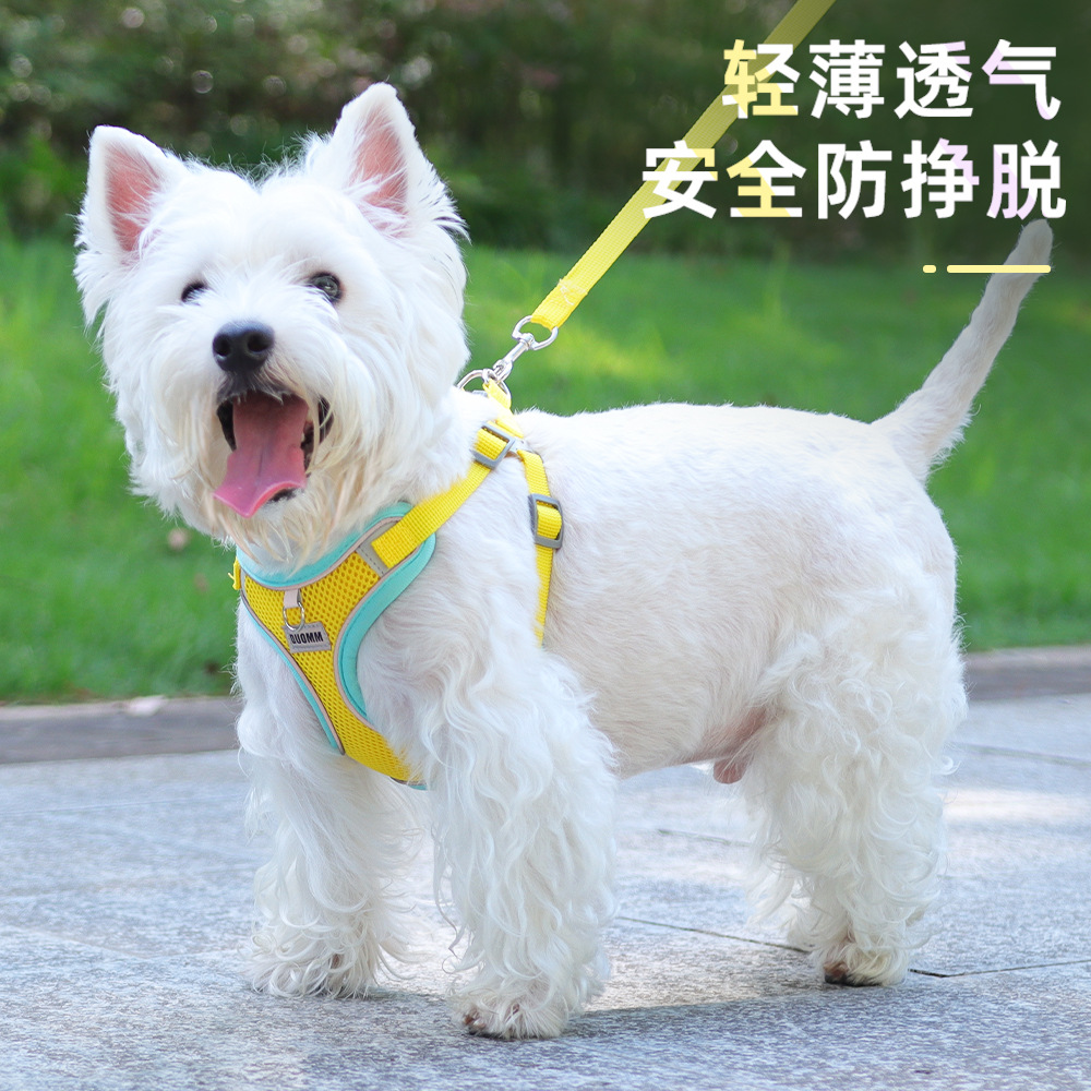 Arnés transpirable tipo chaleco para mascotas con alta visibilidad reflectante y contraste de color para perros pequeños y correas para perros.
