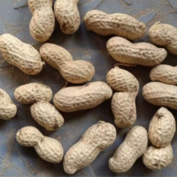 Арахисовое масло, арахис, пища, фруктовое масло, пищевая обработка, арахис, арахис