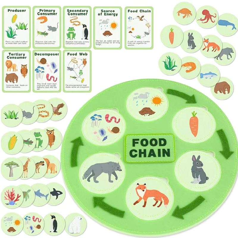 Kit de ciclo de vida para niños animales aprendizaje fieltro cadena alimentaria y redes alimentarias juguetes educativos científicos,
