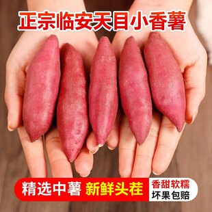 �����R����ĿɽС�������rĴָС�t�������عϰ��������߲�����
