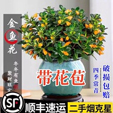 ���~���m�����ļ��^��ֲ����~���҃ȶ���G�ļ�����͏d�^��ֲ��