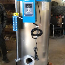 ���Wȼ��ȼ�������l�������w������LSS0.1-0.7ÿС�r100��������