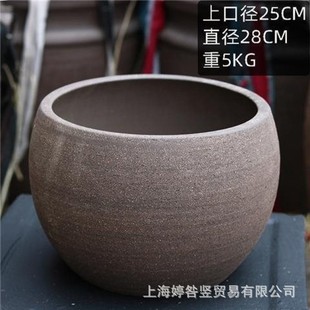 �͹������ڏ�ͥԺ�S�Ҵ���ˮ����ɰ���ջ�������մ��ش�̖