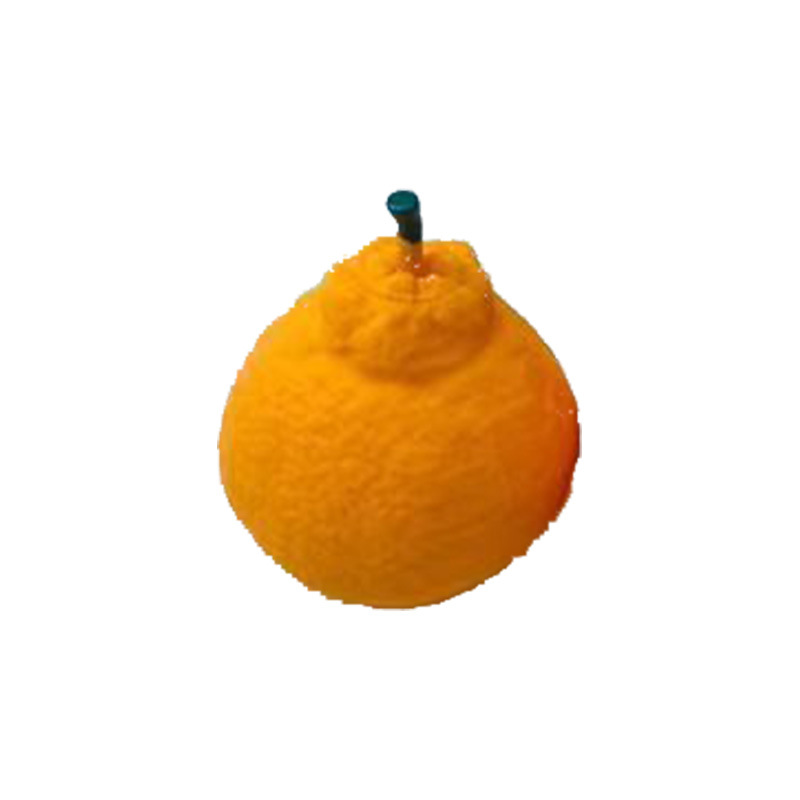 큰 못생긴 오렌지