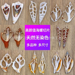天然贝壳海螺切片玫瑰螺手工diy衣服配件装饰工艺品项链材料批发