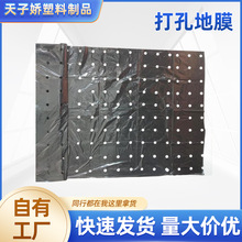 Sֱ@ˇ׵ĤrIĤpe׵ĤϱĤrĤ