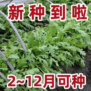 С�~����N���͟��ͺ��˷N�ﶬ���N������߲��ݻʵ۲�������˷N