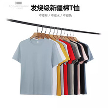 青少年服饰200g新疆棉短袖T恤宽松纯色文化衫广告衫工作服定制