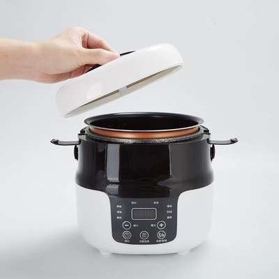 Special Multi-Functional Car Rice Cooker: Digər kiçik elektrik cihazlar