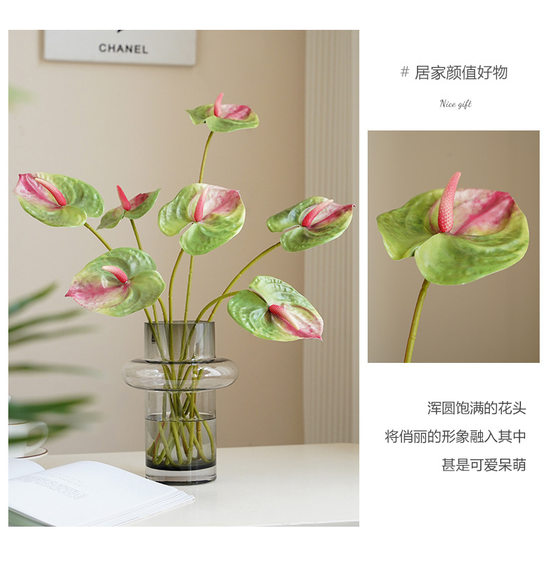 林尼单枝中号红掌_08.jpg