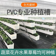 pvc�Nֲ���߲����w�o������Nֲ�ܜ��Ҵ����ݮ�Nֲ������ˮ���