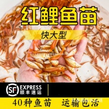 �t���~���ʳ�õ��^�p�t���~�d���t���~���^�p�ɰ��t���~�����S��