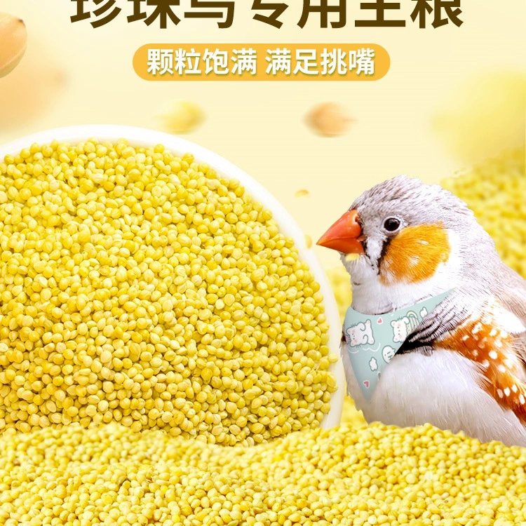 Жемчужная птица с ракушкой, желтая птица-чечевица, попугай, питательный корм для птиц, корм для птиц, десять сестер, красочный корм для воробьев