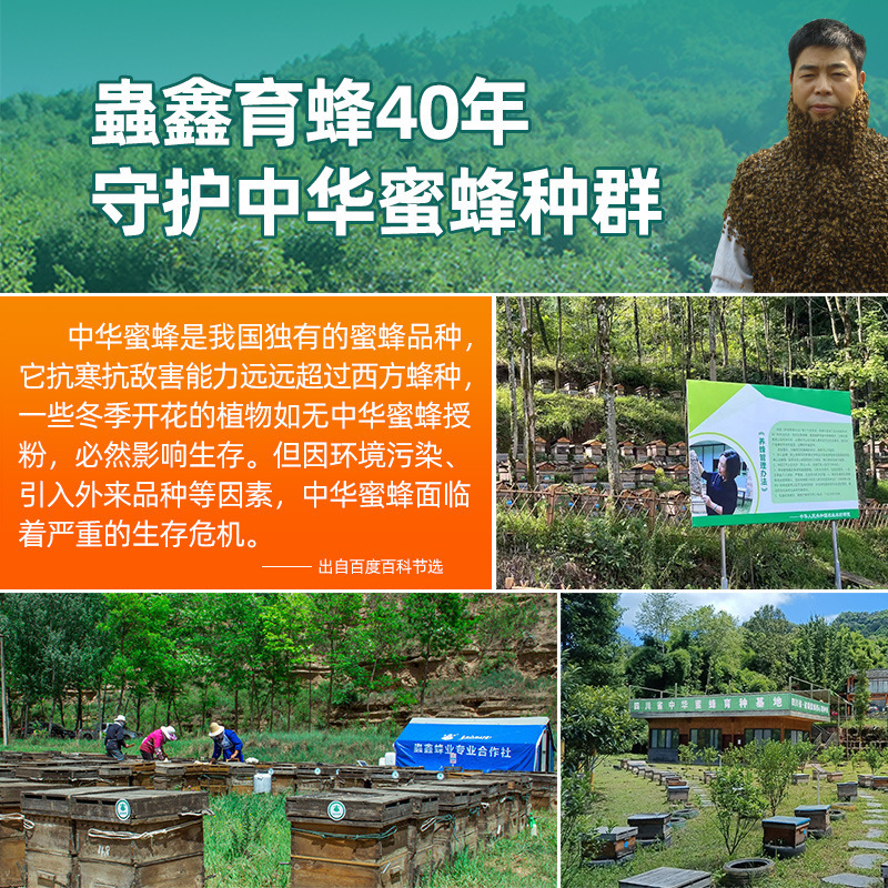 虫心邛崃山野百花蜜 中国薬用蜂蜜 純粋蜂蜜 携帯用パック 原産地工場 即納卸売販売|undefined