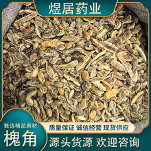 ���Ƕ���ș�����l �o�򻱌����ӻ����춹���B������ă��Ƀ��o�s