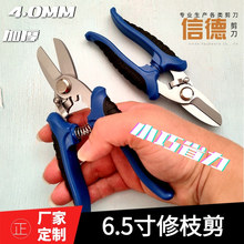 Ӻ֦ 6.5ֱ@ֈ@ˇ@֦֦FƤ߼