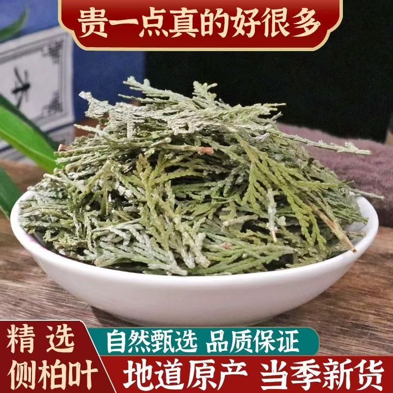 Dried Cebai Ye Platycladus Orientalis Leaf 500g Natural Sun Dried Herbal Tea and Culinary Herb overview
