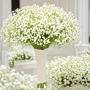 �羳�N�˸ɻ������͏d�[�O�b[����Ȼ�r�����l��ɫ���x�M����