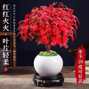 ���������������^�~�t�~С�辰���B�ͺ��Gֲ���������U��΢����