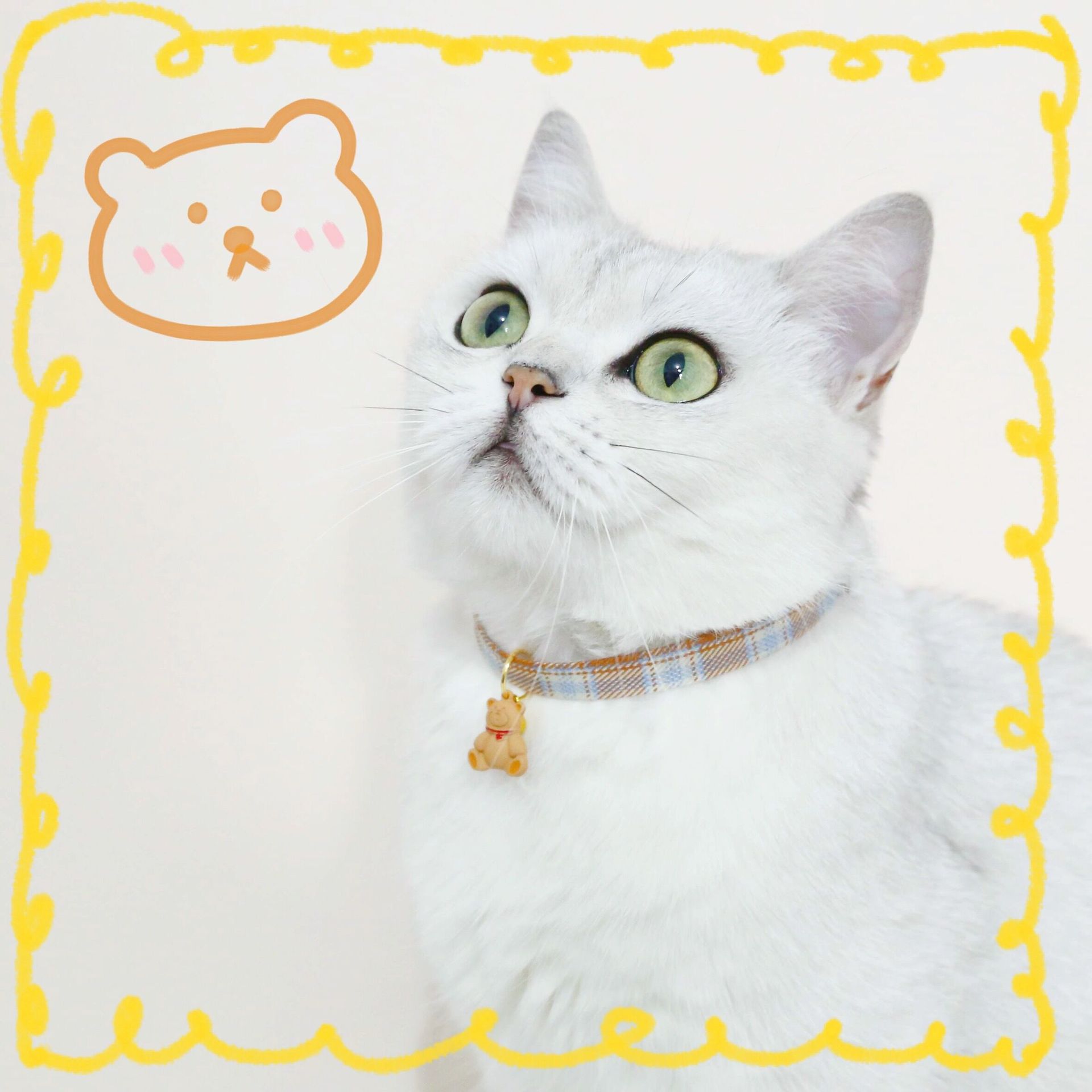 Cereza adorable gato osos galletas ajustable anti-asfixia collar de mascotas campana collar de perros accesorios collar