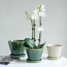 ��ʽ�͹����������p�������m�������m���þGɫ���û����մɴ�̖