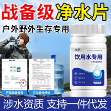 野外生存净水片二氧化氯消毒片户外应急储备饮用水消毒片一件代发
